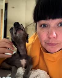 Greyhound Friends of NJ