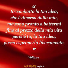 By @• ѕнaron noraнѕ •. Voltaire Io Combatto La Tua Idea Che E Diversa Dalla Mia Ma Sono Pronto A Battermi Fino Al