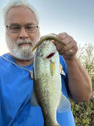 Flanagan this morning from shore.