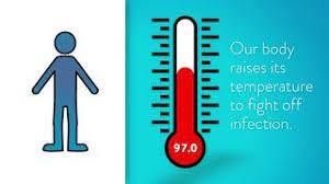 We did not find results for: What S Considered A Fever And When To See A Doctor Osf Healthcare