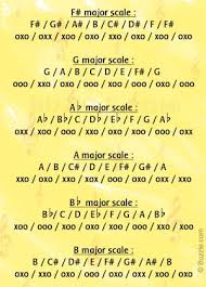 Trumpet Fingering Chart For Beginners Essential Yookamusic