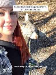 55 top Llamasuyy ideas in 2025