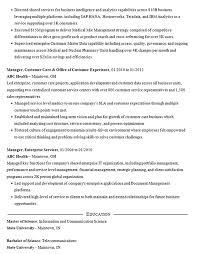 Ecommerce Manager Resume Example It Director