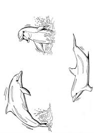 Page 31 Sur 50 Sur Hugolescargot Com Dauphin Dessin Tatouage De Dauphins Coloriage Dauphin