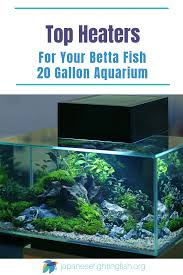 Best Heater For 20 Gallon Aquarium Japanesefightingfish Org 20 Gallon Aquarium Aquarium Betta Fish Care