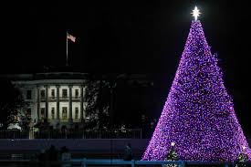 White house 2020 christmas decorations revealed. Stunning Photos Of Us Landmarks Decked Out For The Holidays