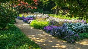 Two upright cherries also deserve mention among the better flowering trees. The Best Public Gardens And Arboretums In New Jersey Best Of Nj