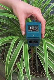 We did not find results for: Soil Moisture Monitoring Tips On Checking Plant Moisture In Pots And Gardens