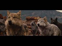Twilight Wolves What S My Name Youtube Twilight Wolf Twilight Wolf Pack Wolf Spirit Animal