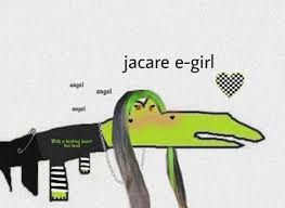 James bond is done with women! 180 Melhor Ideia De Jacare Do Meme Em 2021 Jacare Memes Engracados Engracado