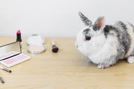 In the uk and across the rest of the eu, testing cosmetic products or their ingredients on animals is banned. Colombia To Ban Use Of Animals In Cosmetics Testing By 2024 Chemlinked