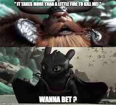 Httyd Memes How Train Your Dragon How To Train Your Dragon How To Train Dragon
