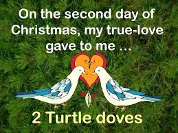 If you like this like us! 12 Days Of Christmas Powerpoint By Meredith Inserra Ppt Video Online Download