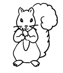 Squirrel coloring pages for kids. Free Printable Squirrel Coloring Pages For Kids Animal Place