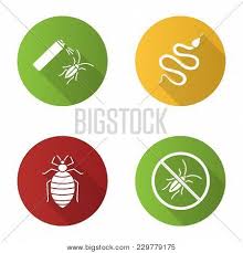 Greenpestdefense gives a solution for all types of pest in auburn, maine and provides pest control for bed bugs, cockroach, carpenter ants, mosquito, spider, rodent and more. Pest Control Flat Vector Photo Free Trial Bigstock