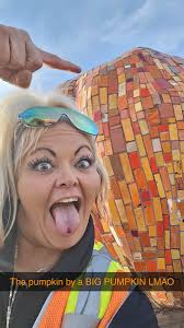 Love the Aldi pumpkins and the little pumpkin inside 🎃