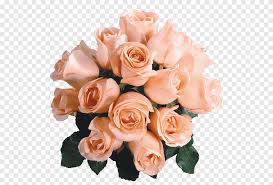 Your ads will be inserted here by. Champagne Beach Rose Flower Blue Red Hand Painted Watercolor Flower Floral Material Watercolor Painting Purple Png Pngegg
