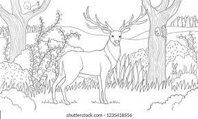 Maybe you would like to learn more about one of these? Adult Coloring Pages Deer Printable B111 Coloring Pages Organisation