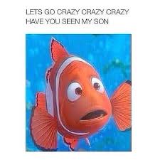 Pin By Clarissa Brandley On Thankful Sharkbait Sisterhood Of Pinterest With Images Tumblr Funny 1d Funny Make Me Laugh