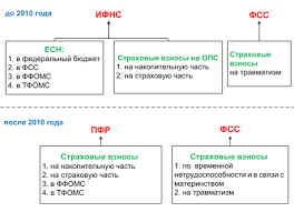 Strahovye Vznosy Vse Chto Nuzhno Znat O Strahovyh Vznosah V 2010 Godu