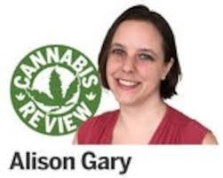 Maui Bubble Gift (Cannabis review)