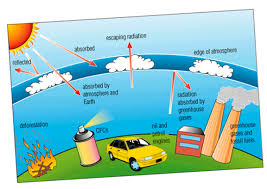 Image Result For Poster On Greenhouse Effect Global Warming Facts Greenhouse Effect Ozone Layer