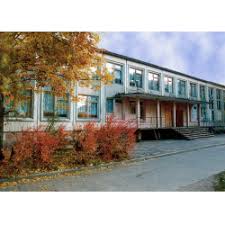 Ранее стало известно, что в школе № 175 на улице джаудата файзи, 8, произошла стрельба, позднее там прогремел в гимназии №175 на улице файзи два школьника открыли стрельбу. Otzyvy O Shkola 175 Sankt Peterburg