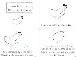 Free Worksheets Life Cycle Of A Chicken Google Search Life Cycles Chicken Life Cycle Cycle