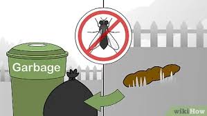 Die vorstellung, im haus auf rote maden zu treffen, ist. Fliegen Im Aussenbereich Loswerden 15 Schritte Mit Bildern Wikihow