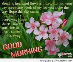 We have birthday flowers for him and birthday arrangements for her, plus birthday bouquets for occasions like a sweet 16 or quinceanera. Quotes On Flowers To Brighten Day Quotesgram