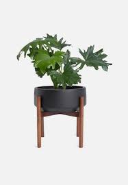 Shop wayfair for a zillion things home across all styles and budgets. Decor Accessories Low Prices South Africa Superbalist Decor Buy Plant Holders Planters