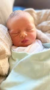 Will Cutler (@will__cutler) • Instagram photos and videos