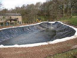 Sand pond recreation area in pine log state forest, ebro florida. Pin On Home Pond Ideas