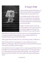 Pin On Man S Best Friend