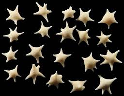 White beach sands made of the remains of tiny, star shaped creatures. The Star Sand Beach Of Hoshizuna No Hama Amusing Planet