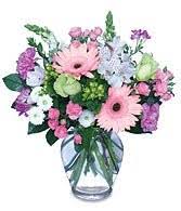 Our database has everything you'll ever need, so enter & enjoy ;) About Us Buds N Blooms 2008 Bonnyville Ab