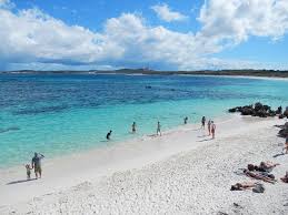 Contact Support Beautiful Beaches Beach Australia Travel