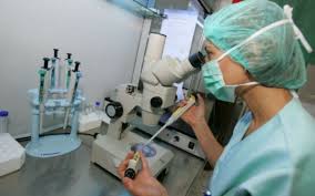 In vitro înseamnă în afara corpului. Live Video Cum Pot Beneficia De O Procedura De Fertilizare Gratuita In Vitro In Baza Politei De Asigurare Medicala Cuplurile Infertile