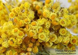 Diagnostic test for tn in the near future. Essential Oils For Neuralgia And Neruopathy Essential 3
