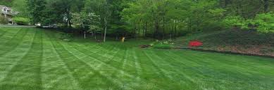 Emerald lawn care near me. Emerald Lawn Care Home Facebook