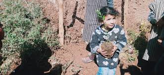 Best fruit tree nursery in san diego, ca. Contributing To Sustainable Development And Saving The Earth By Planting Trees High Atlas Foundation