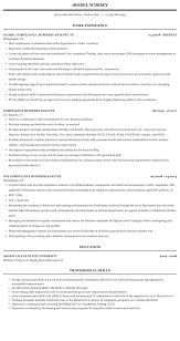Compliance Business Analyst Resume Sample Mintresume