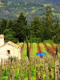 Napa Valley Our Vacation Home The Arie Was Located On Top Of A Vineyard Overlooking Wine Country California Usa Travel Destinations San Francisco Vacation