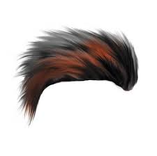 Hd Hair Png Hair Png Light Background Images Photoshop Backgrounds Search more high quality free transparent png images on pngkey.com and share it with your you can download all cb hair png download for pirt and photoshop also download hd hair png 2020 download, stylish hair png download zip file. hd hair png hair png light