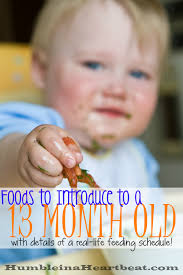 Foods To Introduce At 13 Months Baby Eating Baby Food