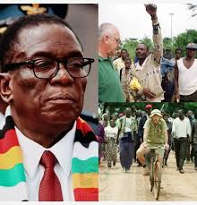 Is bringing back white farmers the best decision for Zimbabwe's economy?