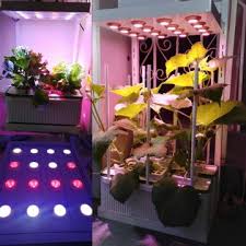 My own organically grown tomatoes always taste better than store bought ones. Hydroponic Growing Systems Big With Led Grow Light For Tomato Indoor Global Sources