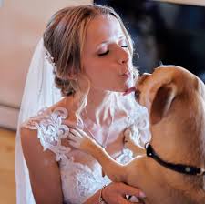 Certification for equine assisted psychotherapy?