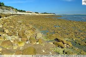 Epingle Sur La Rochelle La Rebelle