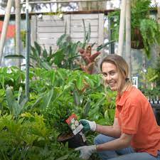 Evergreen blades is a premium lawnmowing landscaping. Flower Power Australia S Leading Garden Centre